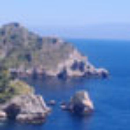 Xin Zi Su Vegetarian Cafe